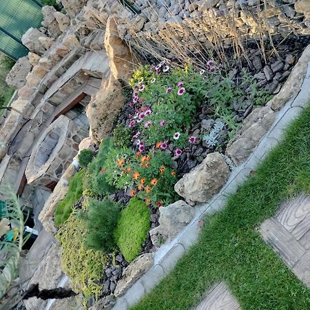 Villa Garden Bešeňová Dış mekan fotoğraf