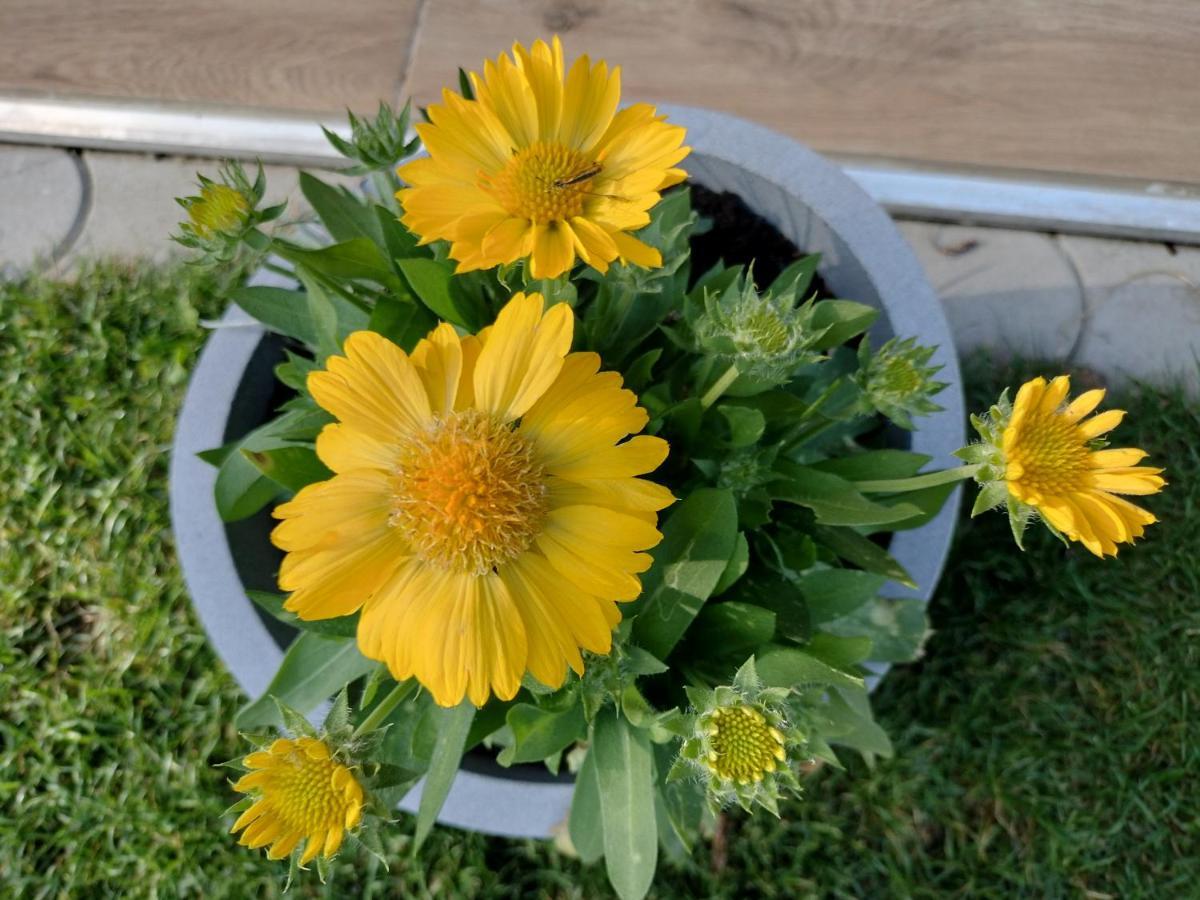 Villa Garden Bešeňová Dış mekan fotoğraf
