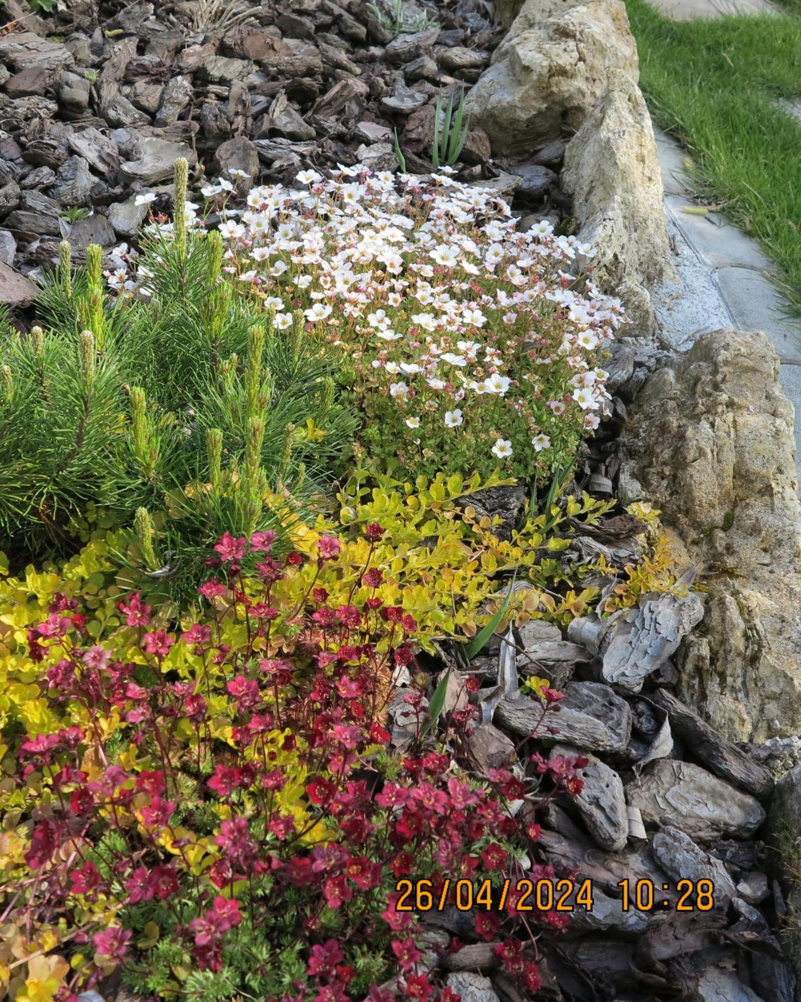 Villa Garden Bešeňová Dış mekan fotoğraf
