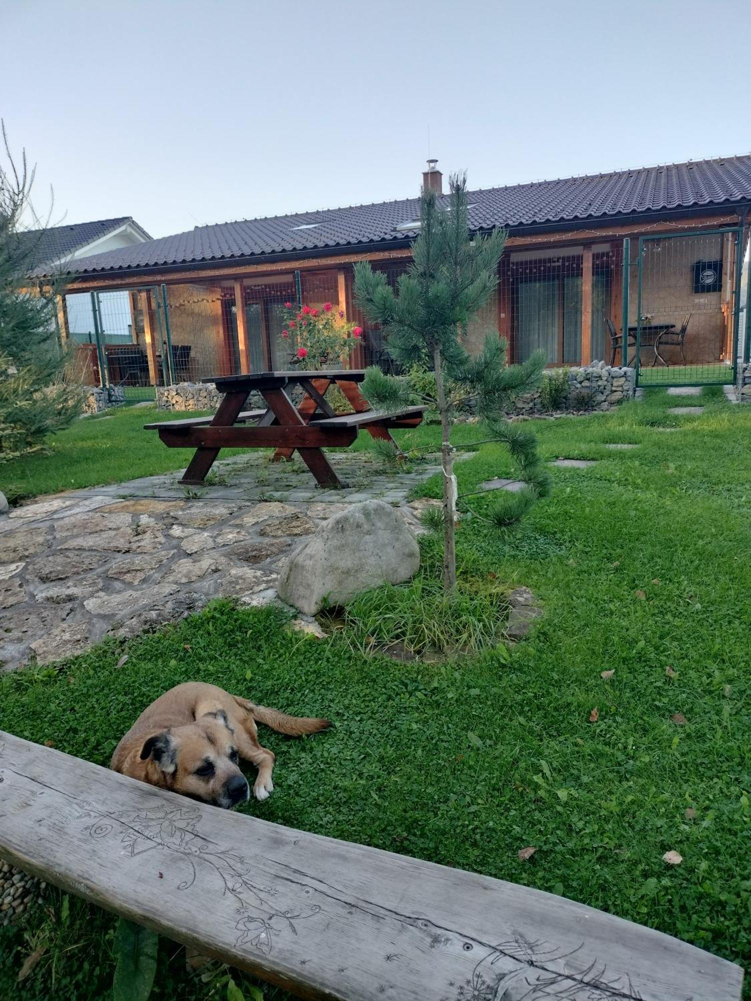 Villa Garden Bešeňová Dış mekan fotoğraf